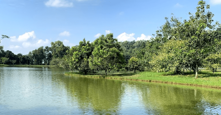 Kepong Botanical Garden